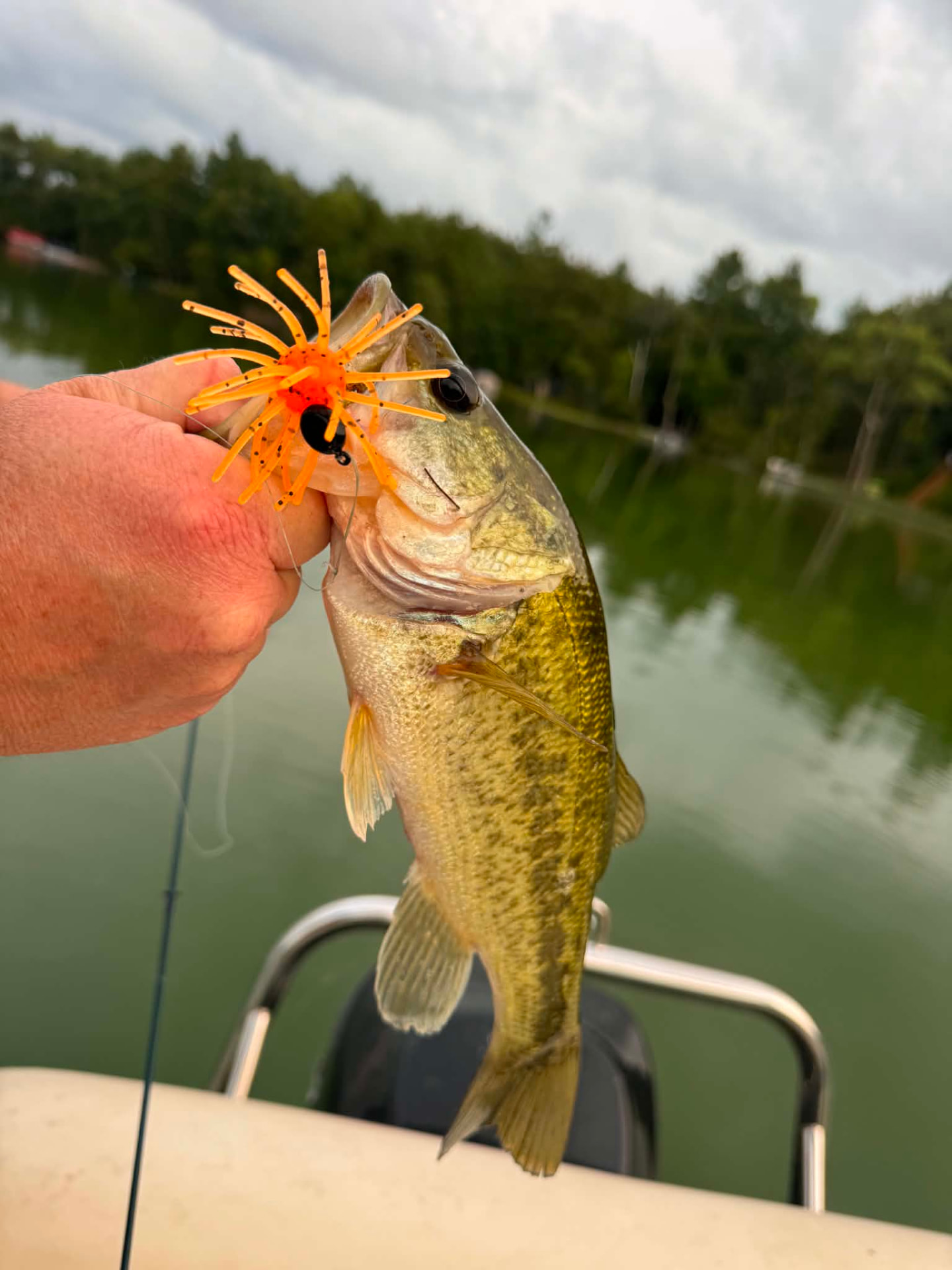 Crappie caught on an orange Sweetgum creature bait