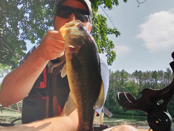 Close-up of an angler lifting a largemouth bass boatside