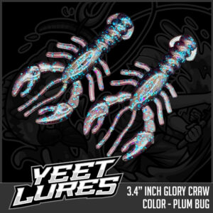 Plum Bug Glory Craw